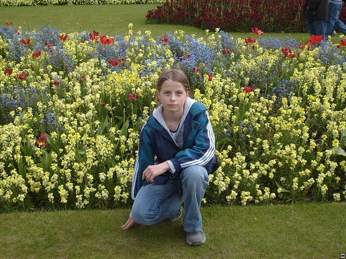 img00097.jpg