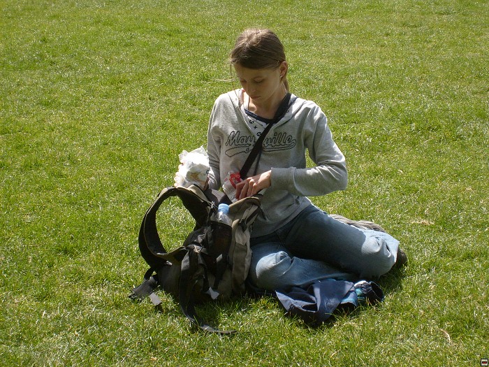 img00107.jpg