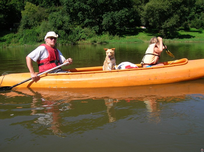 img00036.jpg