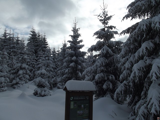 img00011.jpg