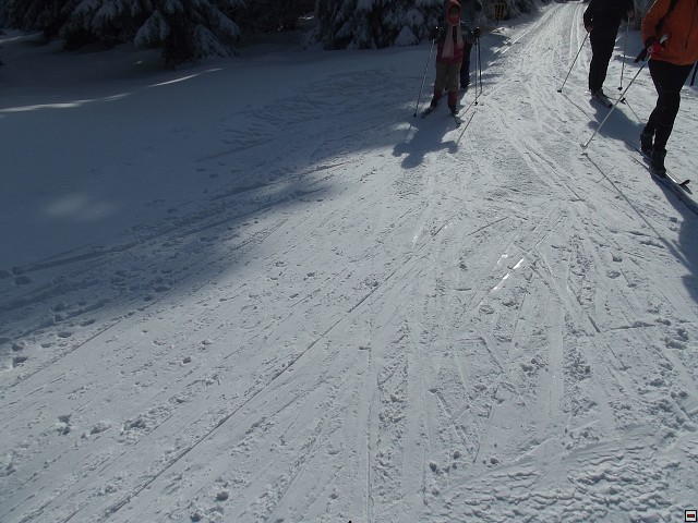img00016.jpg