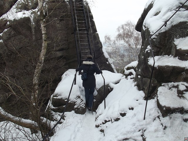 img00029.jpg