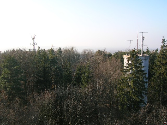 img00014.jpg