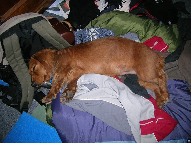 img00039.jpg