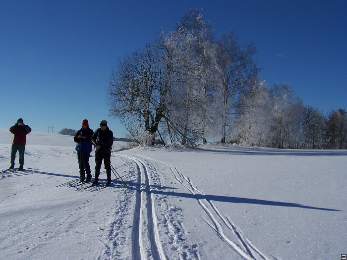 img00015.jpg