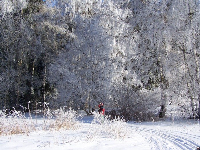 img00018.jpg