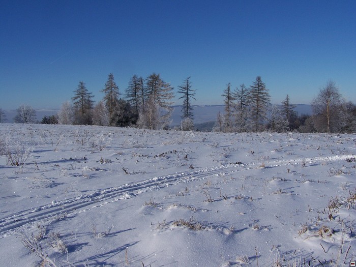 img00031.jpg
