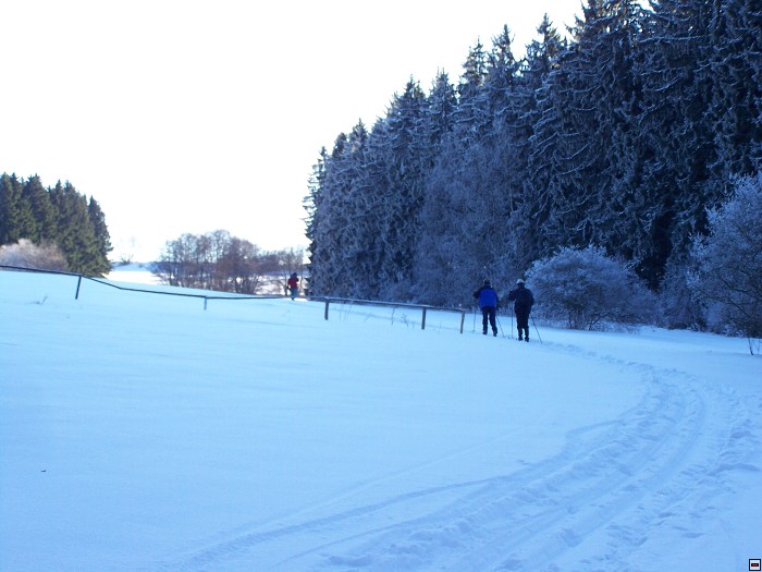 img00035.jpg