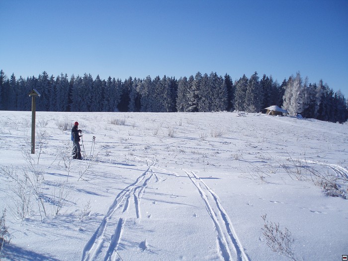 img00037.jpg