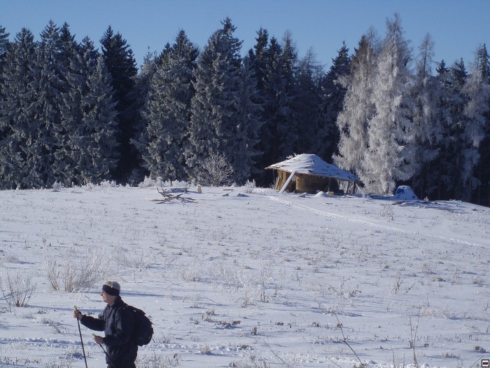 img00038.jpg