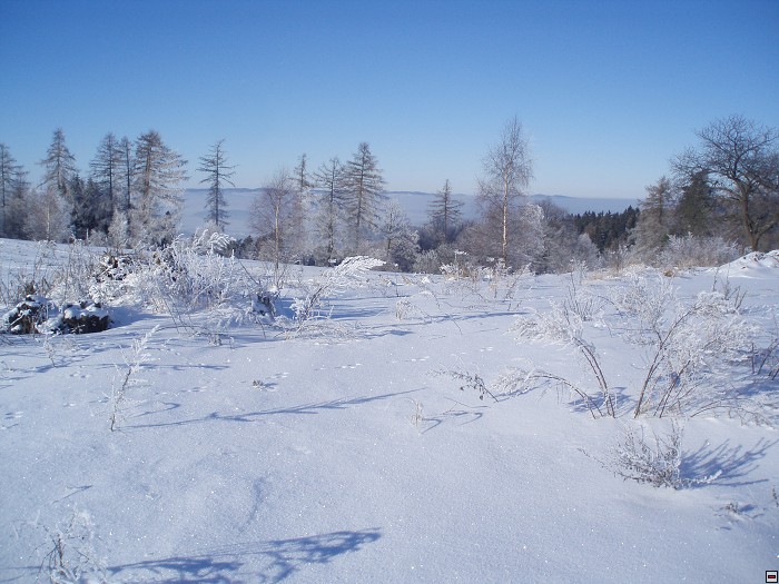 img00040.jpg