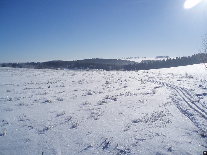 img00041.jpg