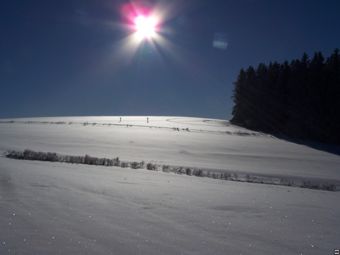 img00045.jpg