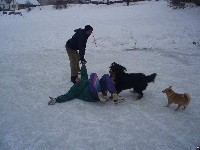 img00059.jpg