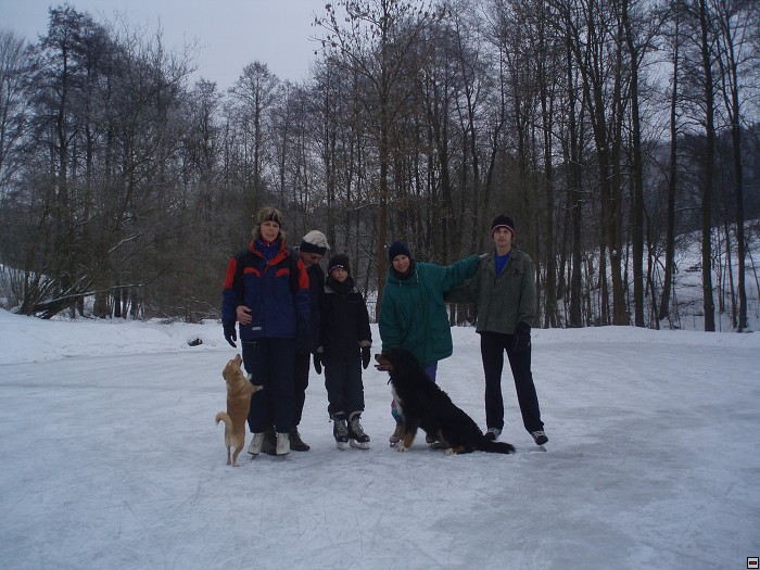 img00063.jpg