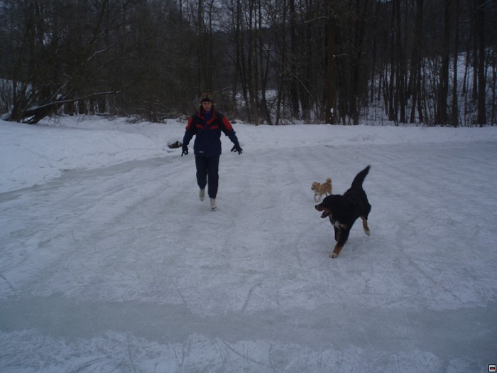 img00067.jpg