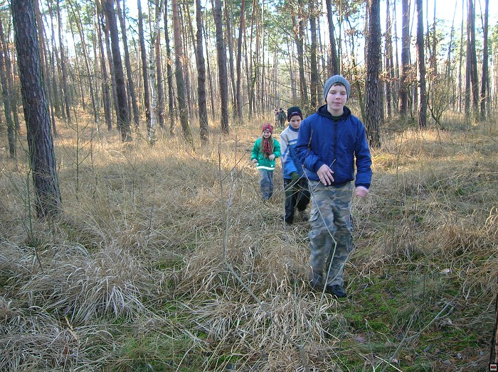img00004.jpg