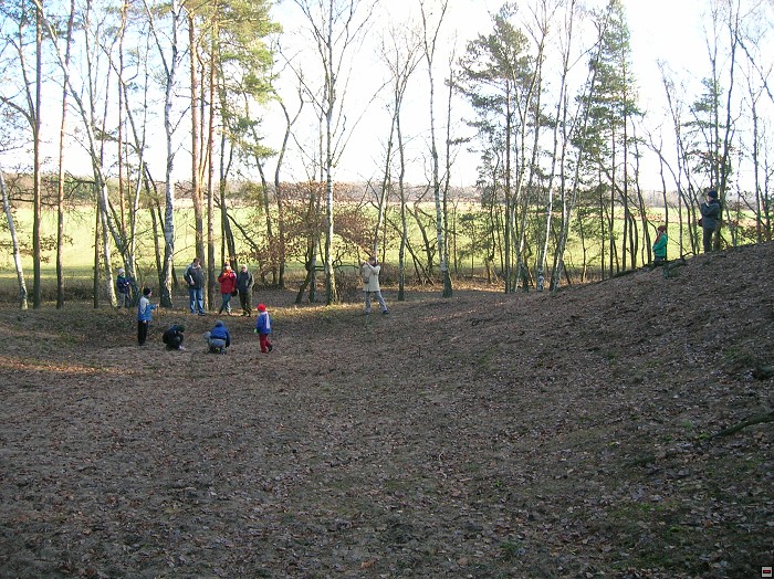 img00011.jpg