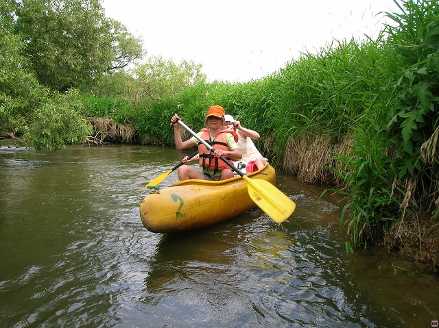 img00011.jpg