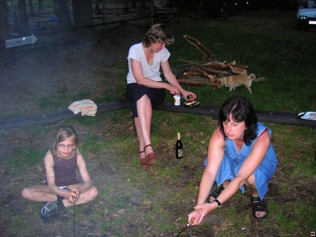 img00016.jpg