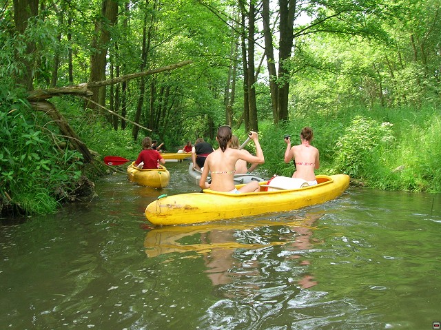 img00045.jpg