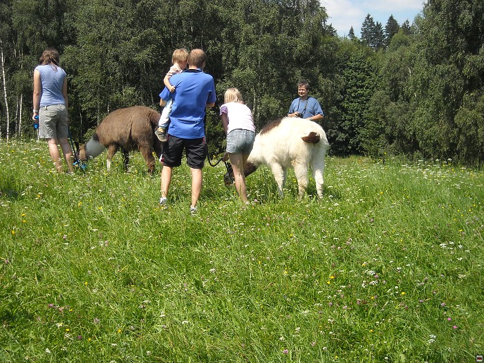 img00132.jpg