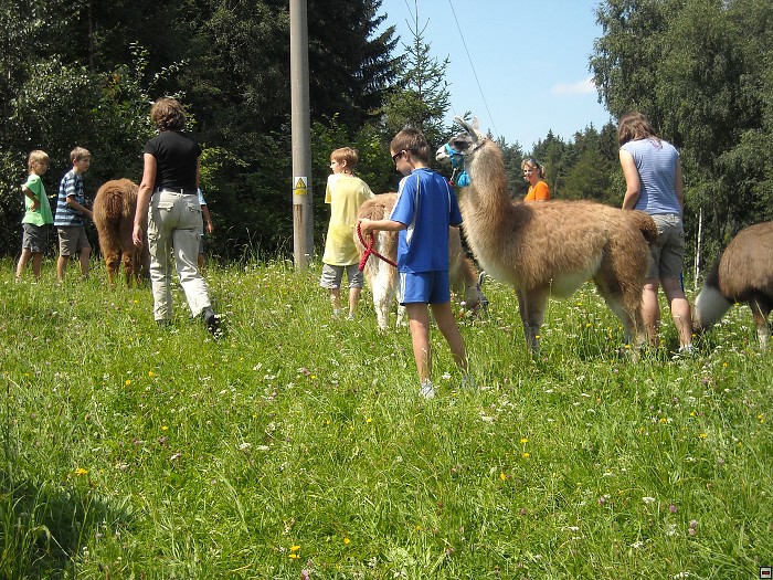 img00133.jpg