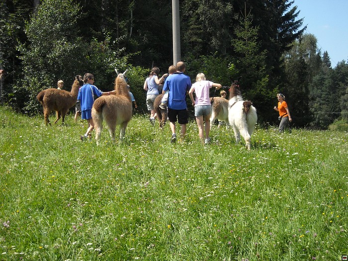 img00134.jpg