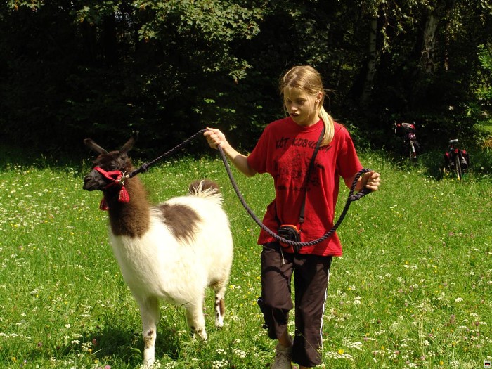 img00138.jpg