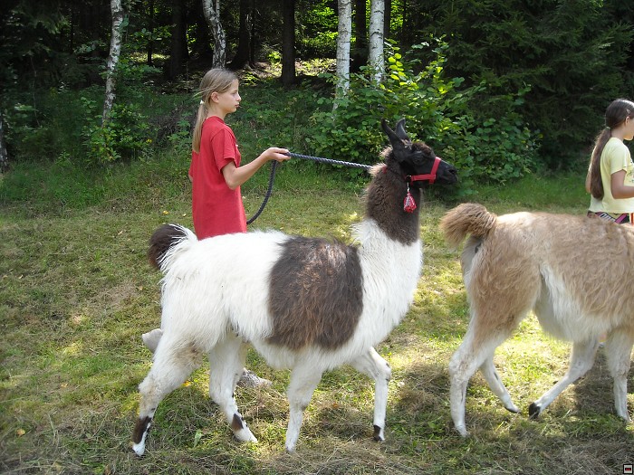 img00141.jpg