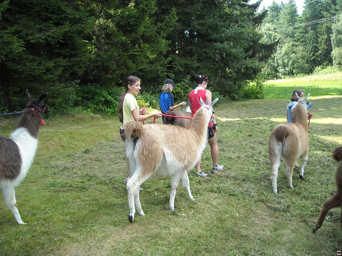 img00143.jpg