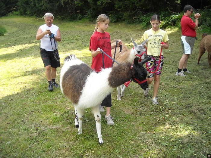 img00147.jpg