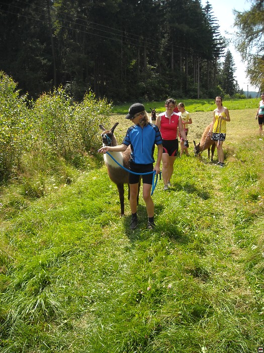 img00151.jpg