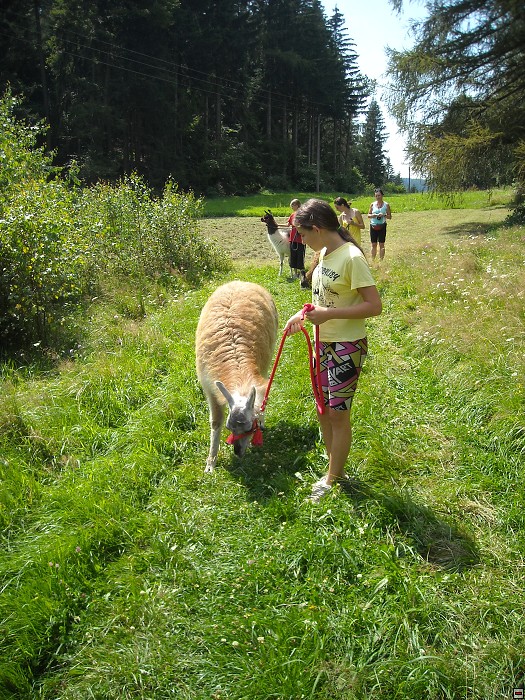 img00152.jpg
