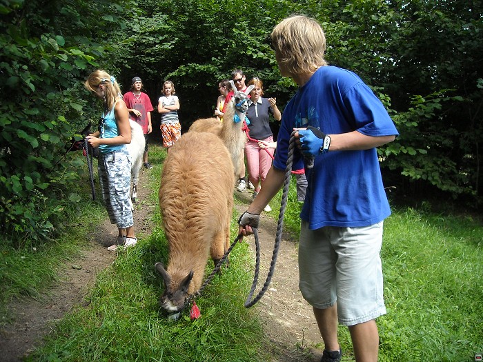 img00156.jpg