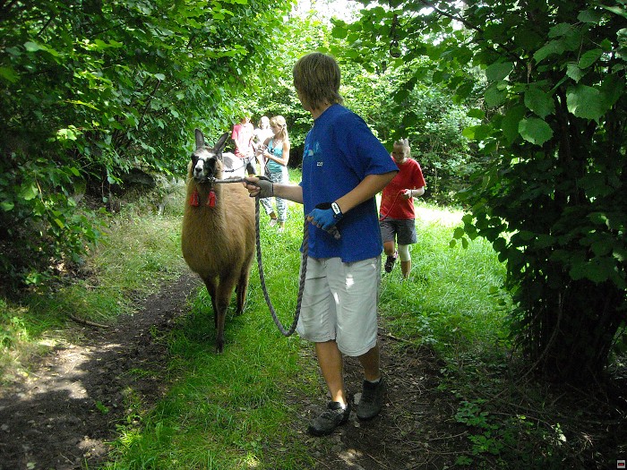 img00157.jpg