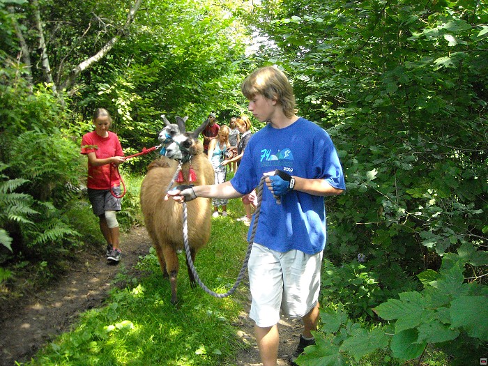 img00158.jpg