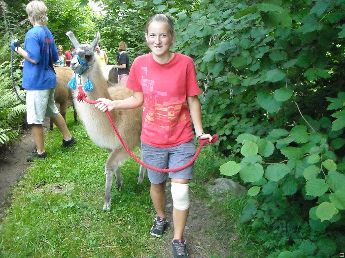 img00159.jpg