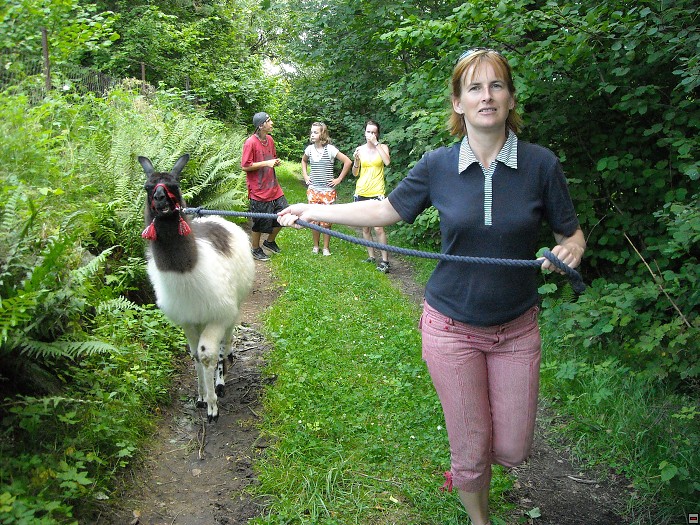 img00161.jpg