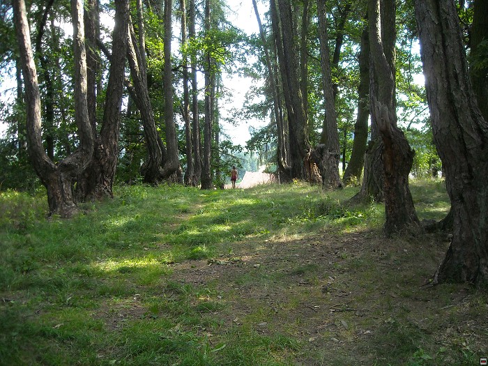img00167.jpg