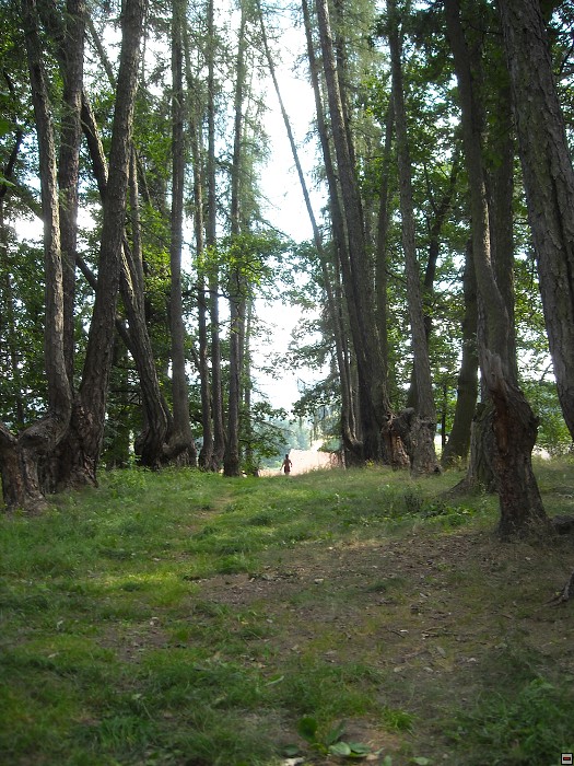 img00168.jpg