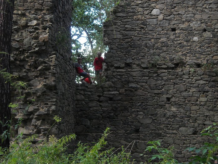 img00171.jpg
