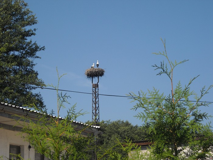 img00194.jpg