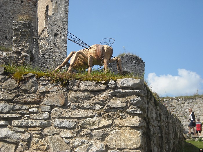 img00200.jpg