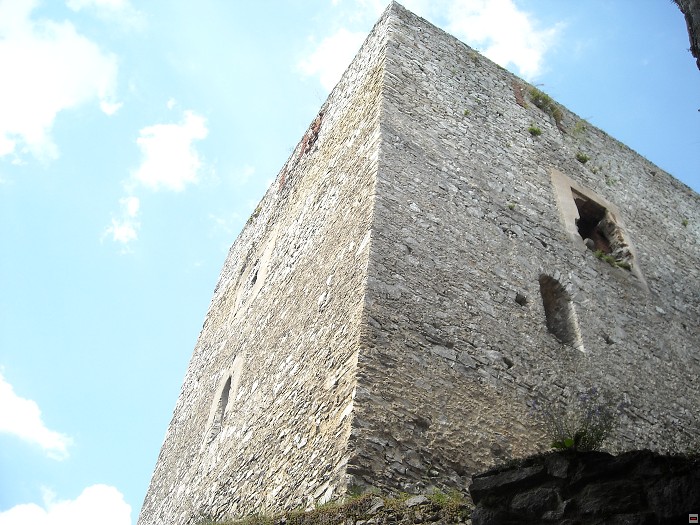 img00205.jpg