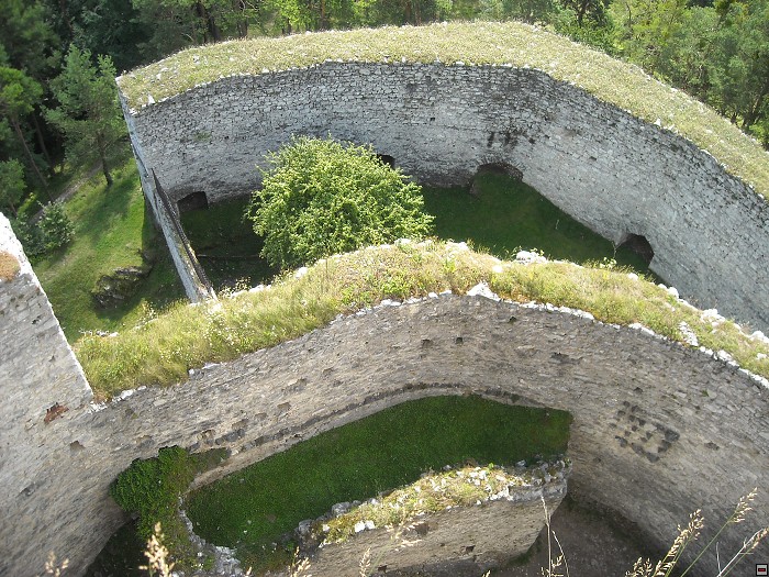 img00208.jpg