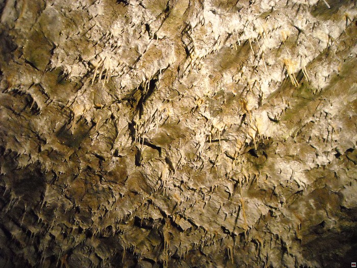 img00218.jpg