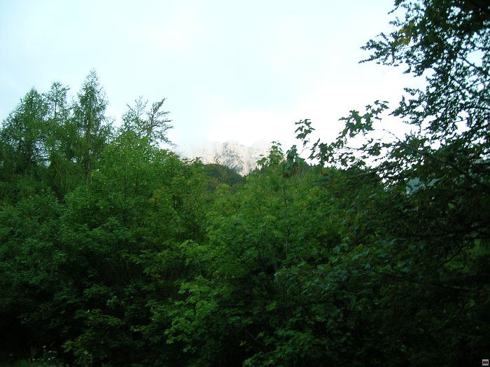 img00003.jpg