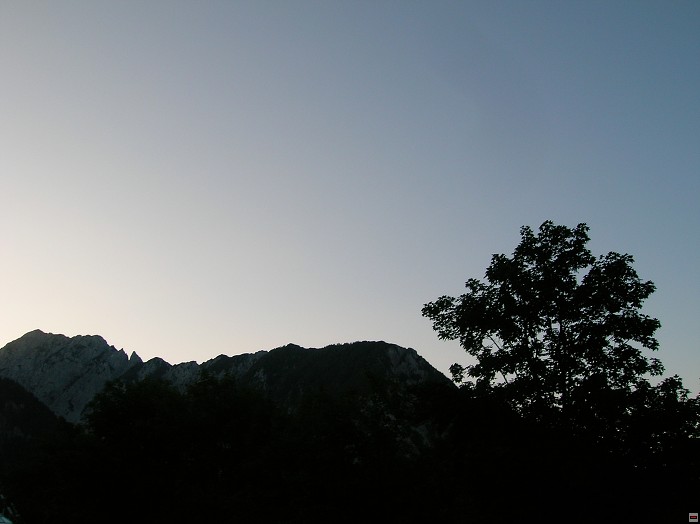 img00009.jpg