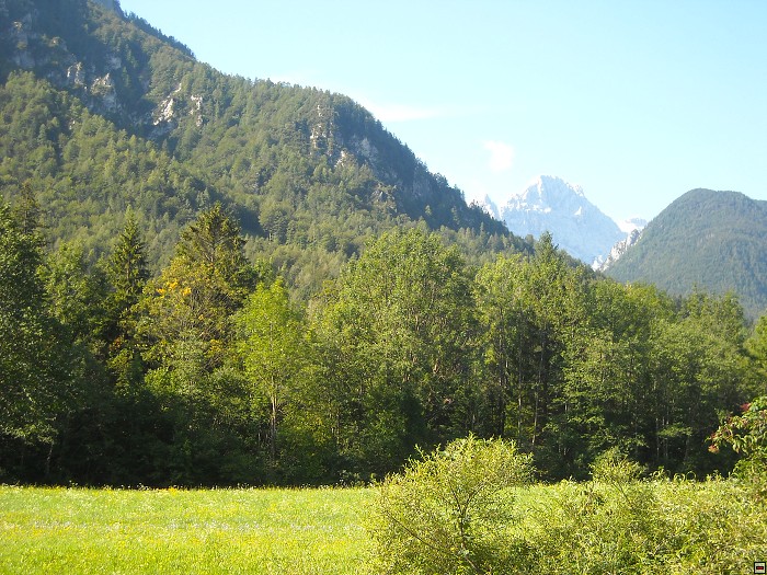 img00017.jpg